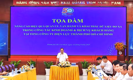 Điện lực TP Hồ Chí Minh khai thác tốt hệ thống đo - đếm từ xa