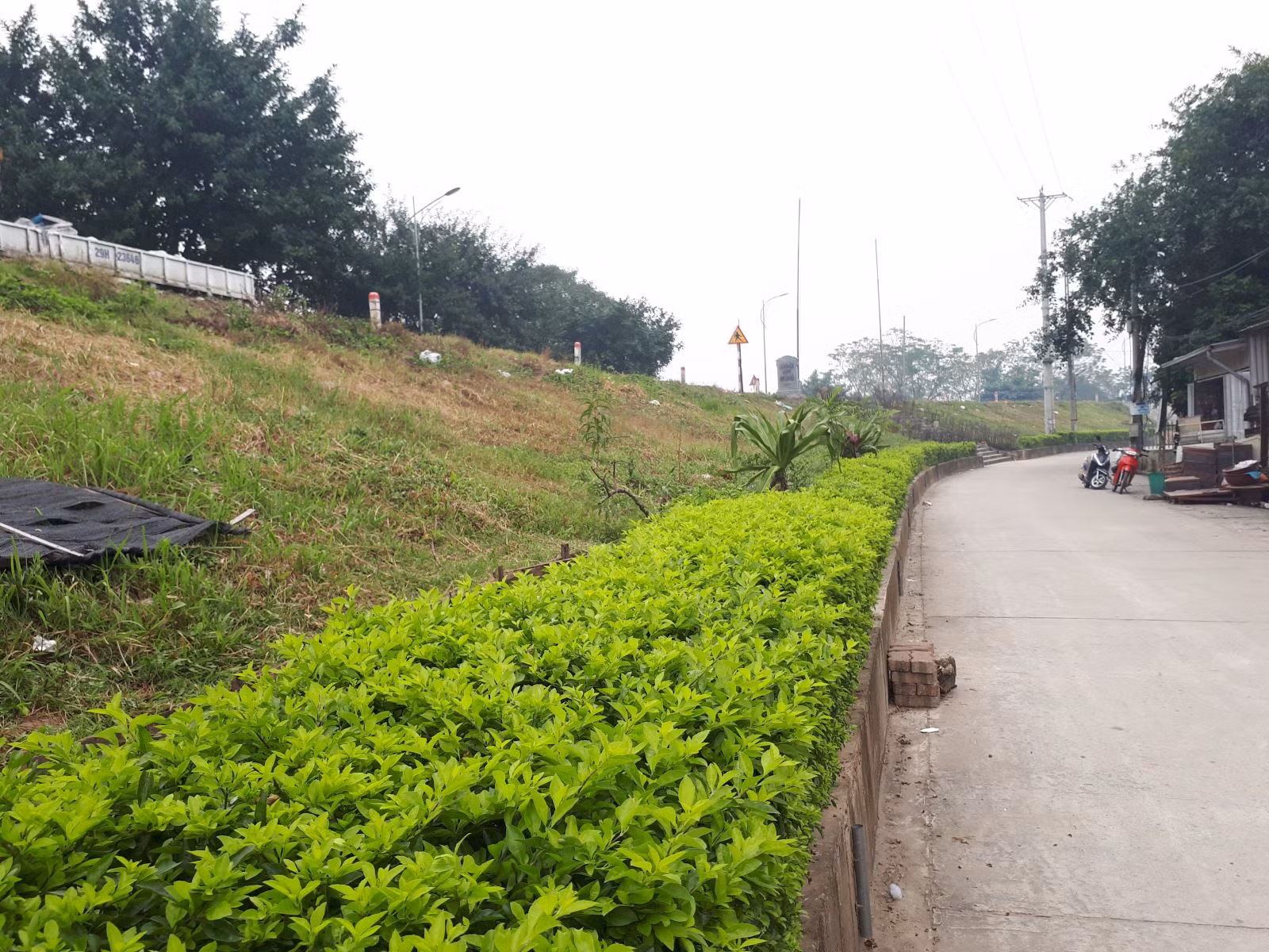 Khoảng 1 km tuyến đê này sẽ được thôn Quý vận động các hộ dân đối diện khoanh ô trồng cây xanh tạo cảnh quan.