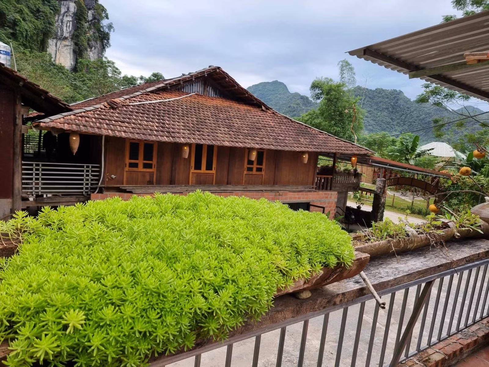 Chú thích ảnh