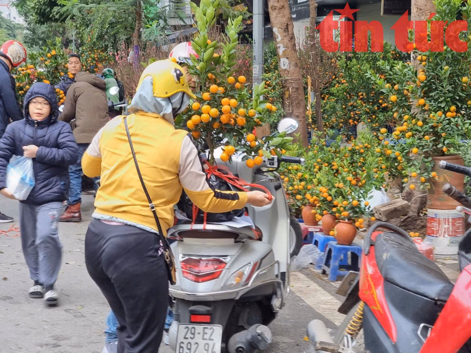 Chú thích ảnh