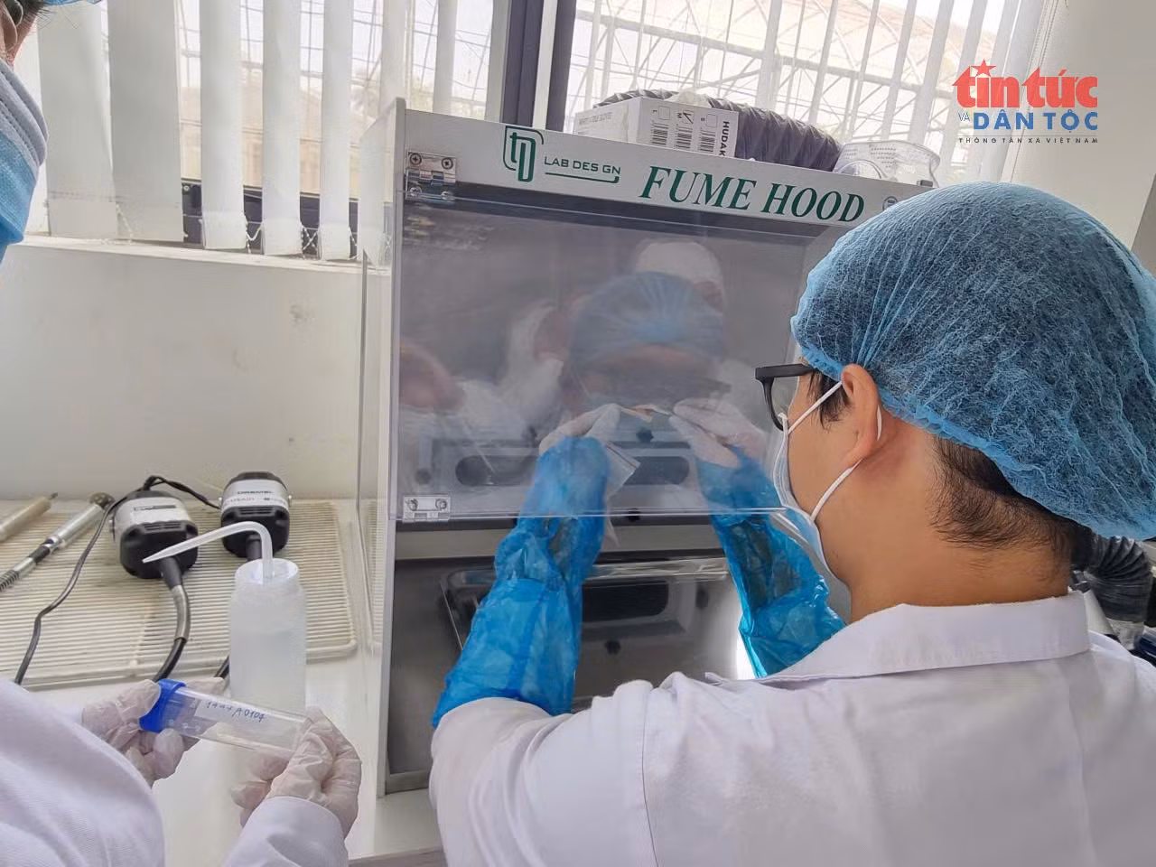 Quá trình làm sạch mẫu sinh phẩm thu được từ các nghĩa trang.