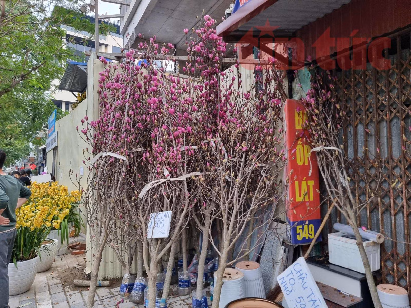 Chú thích ảnh
