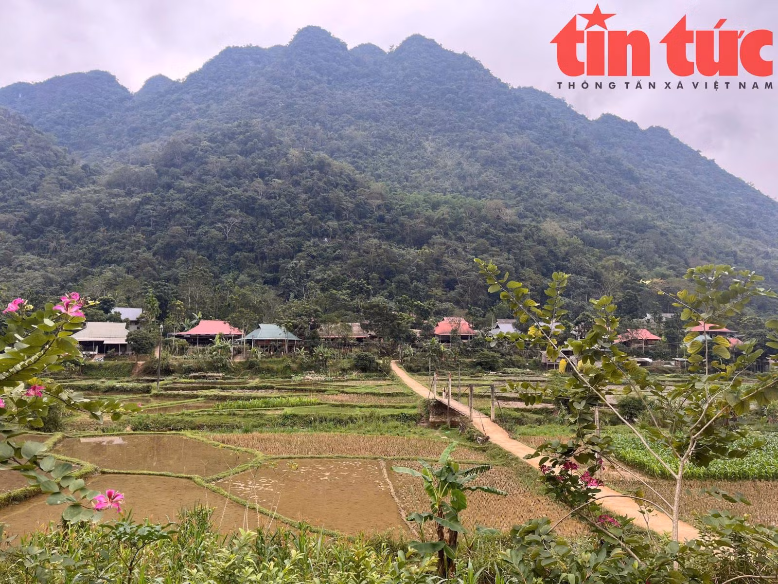 Chú thích ảnh