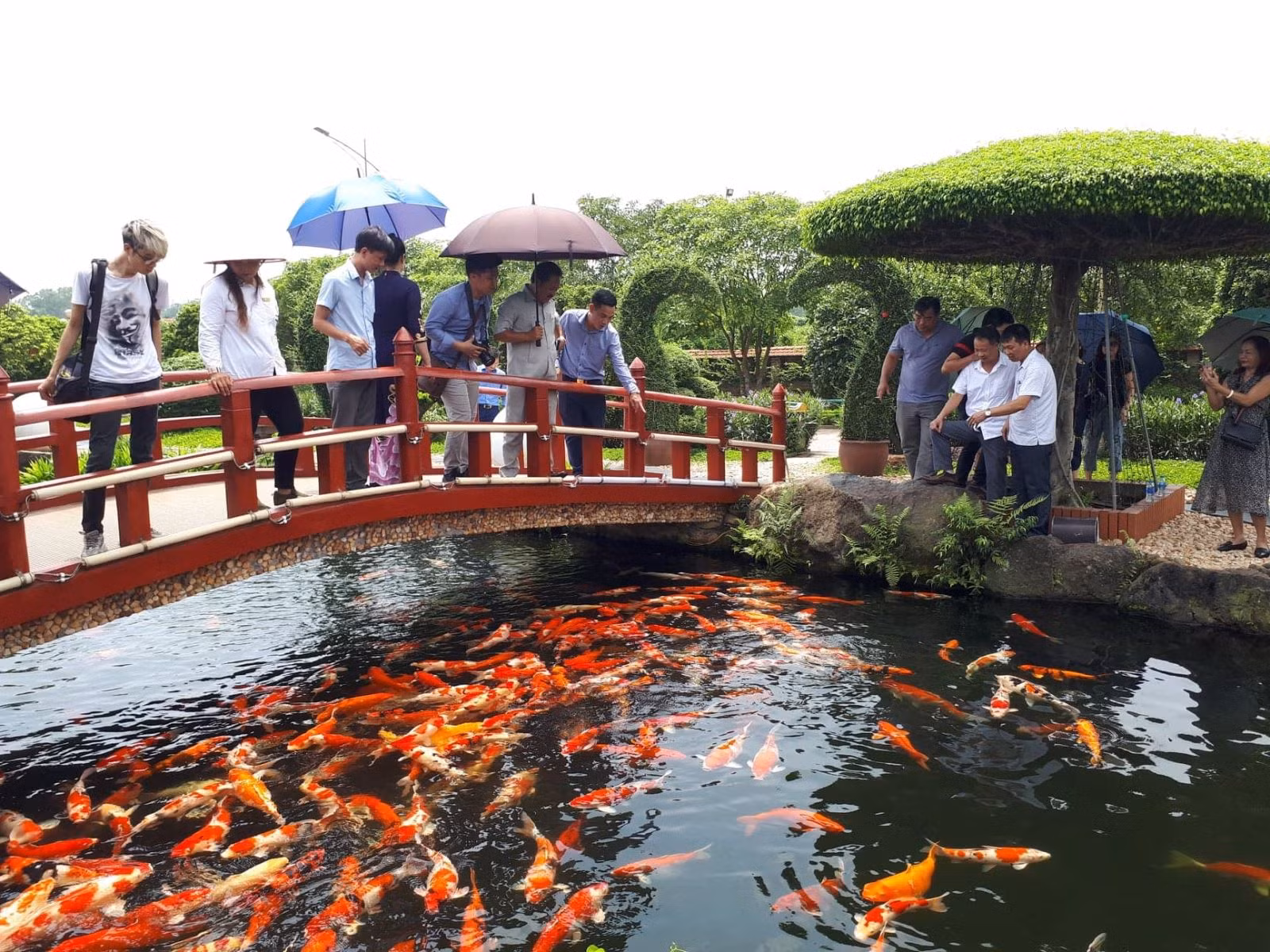 Chú thích ảnh