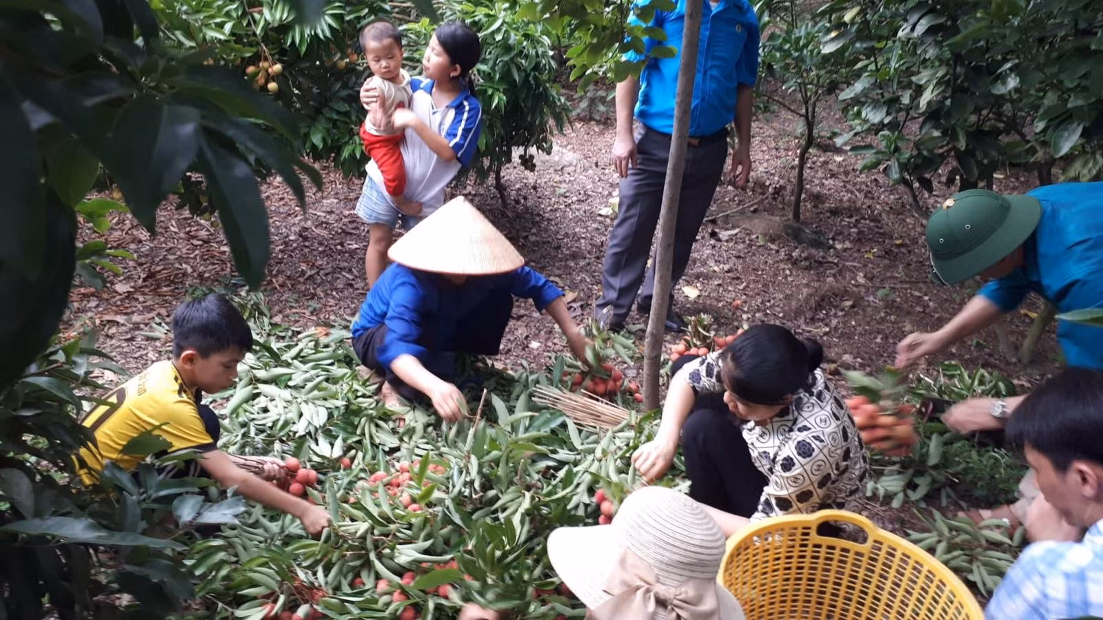Chú thích ảnh