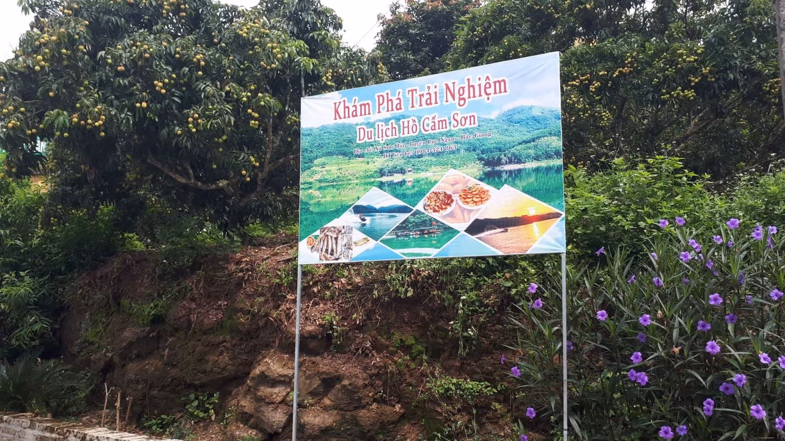 Chú thích ảnh