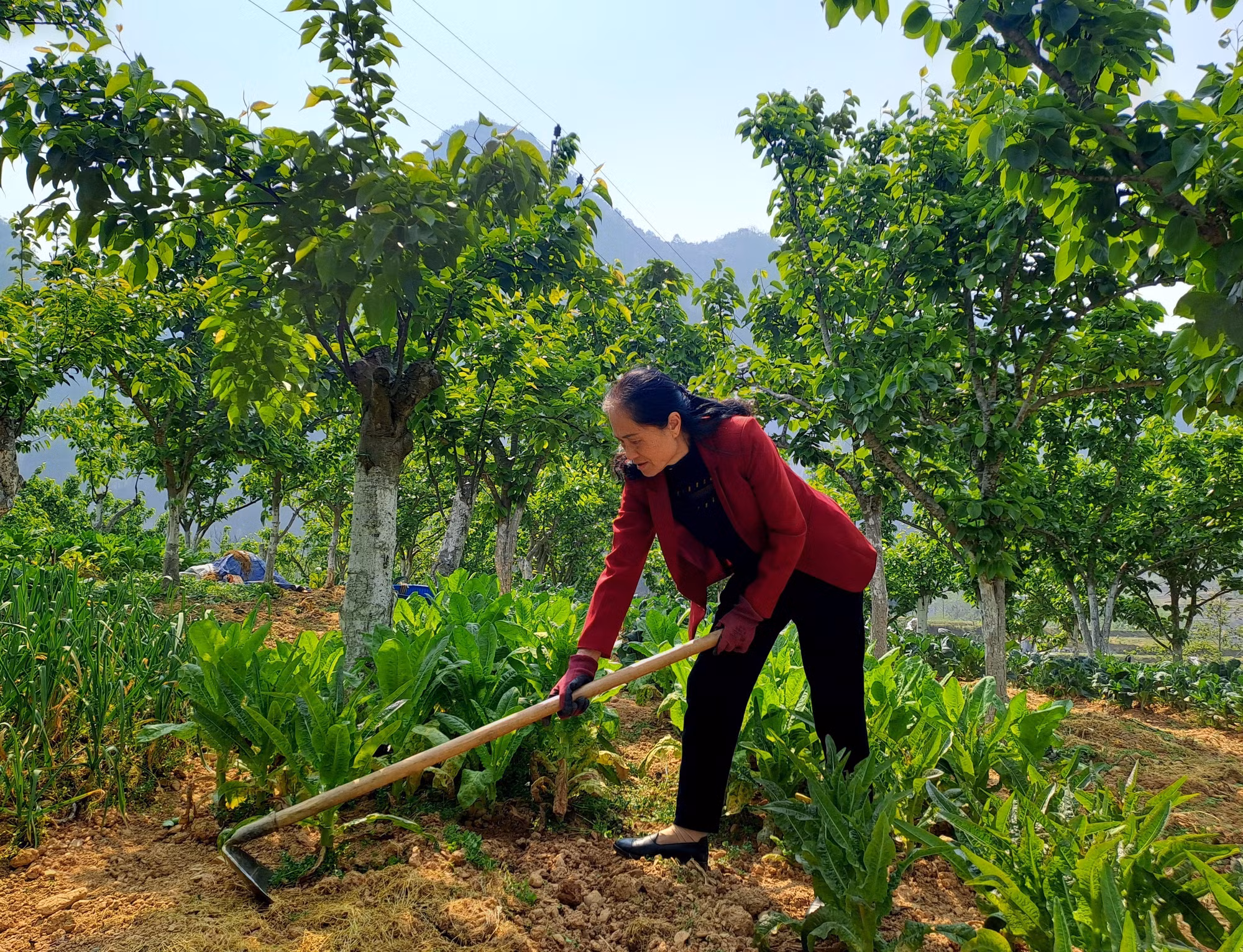 ha-giang3.jpg