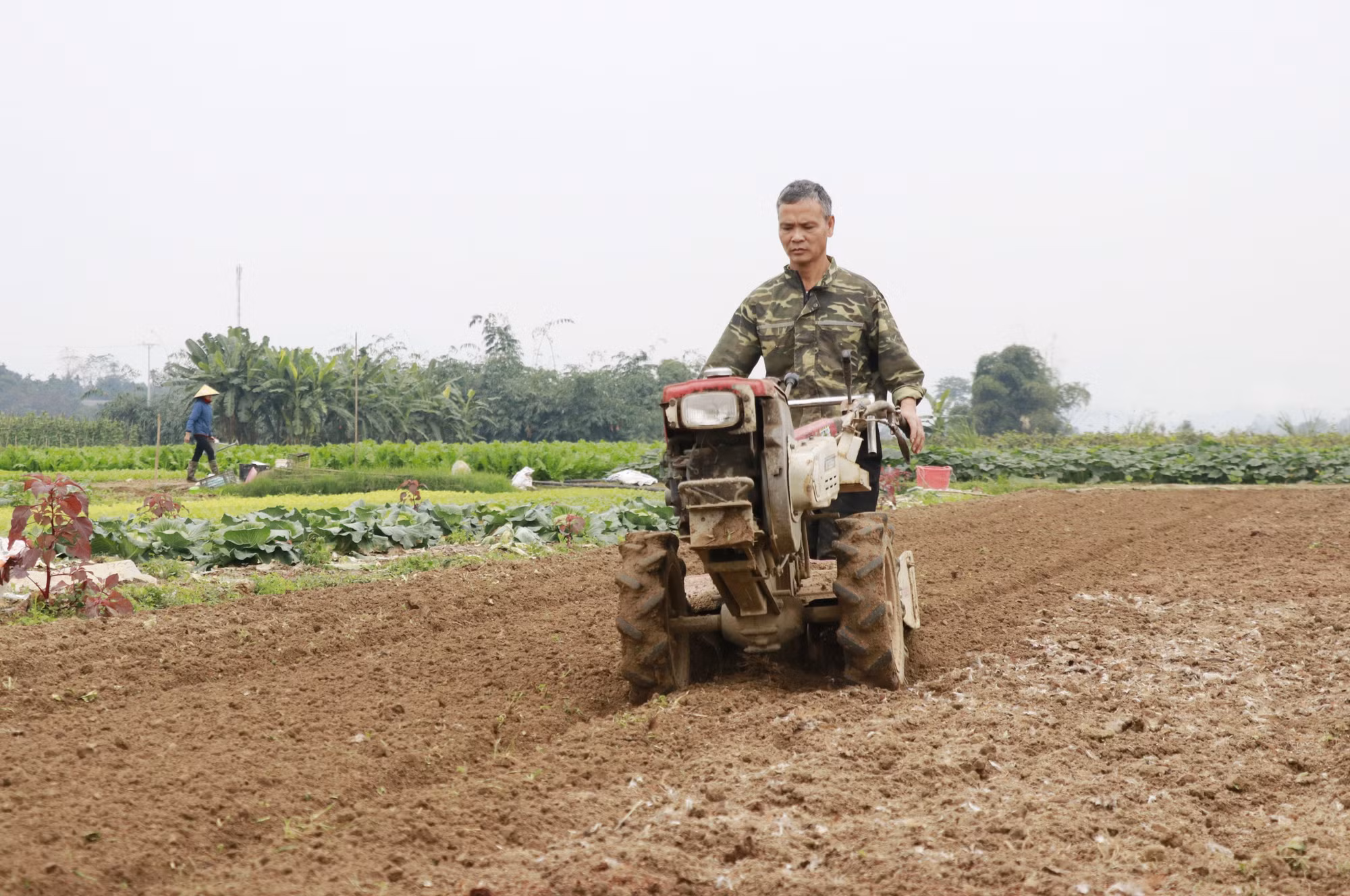 lao-cai-nn-1.jpg