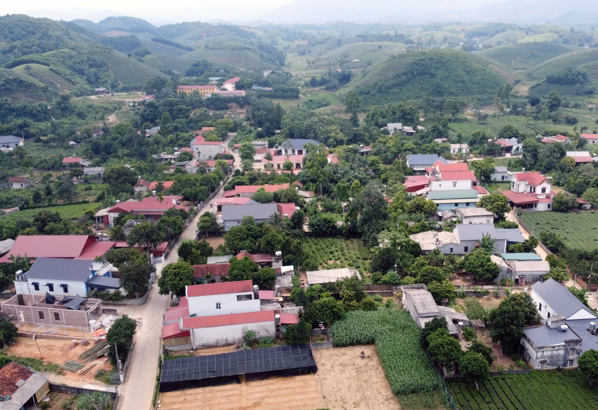 xa-minh-dai-doi-che-3.jpg