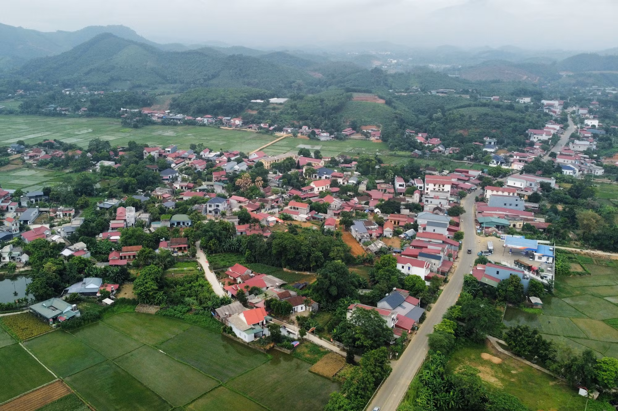 xa-minh-dai-doi-che-5.jpg