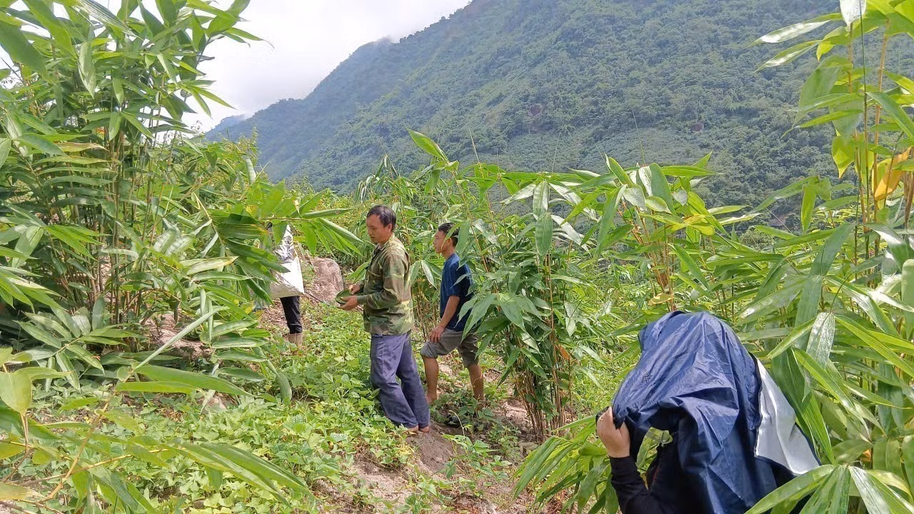 thanh-hoa5.jpg