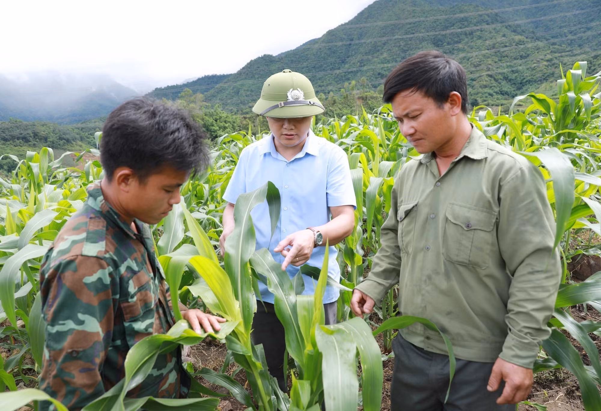 potal-lai-chau-khoi-sac-nong-thon-moi-o-huyen-vung-cao-bien-gioi-8079886.jpg