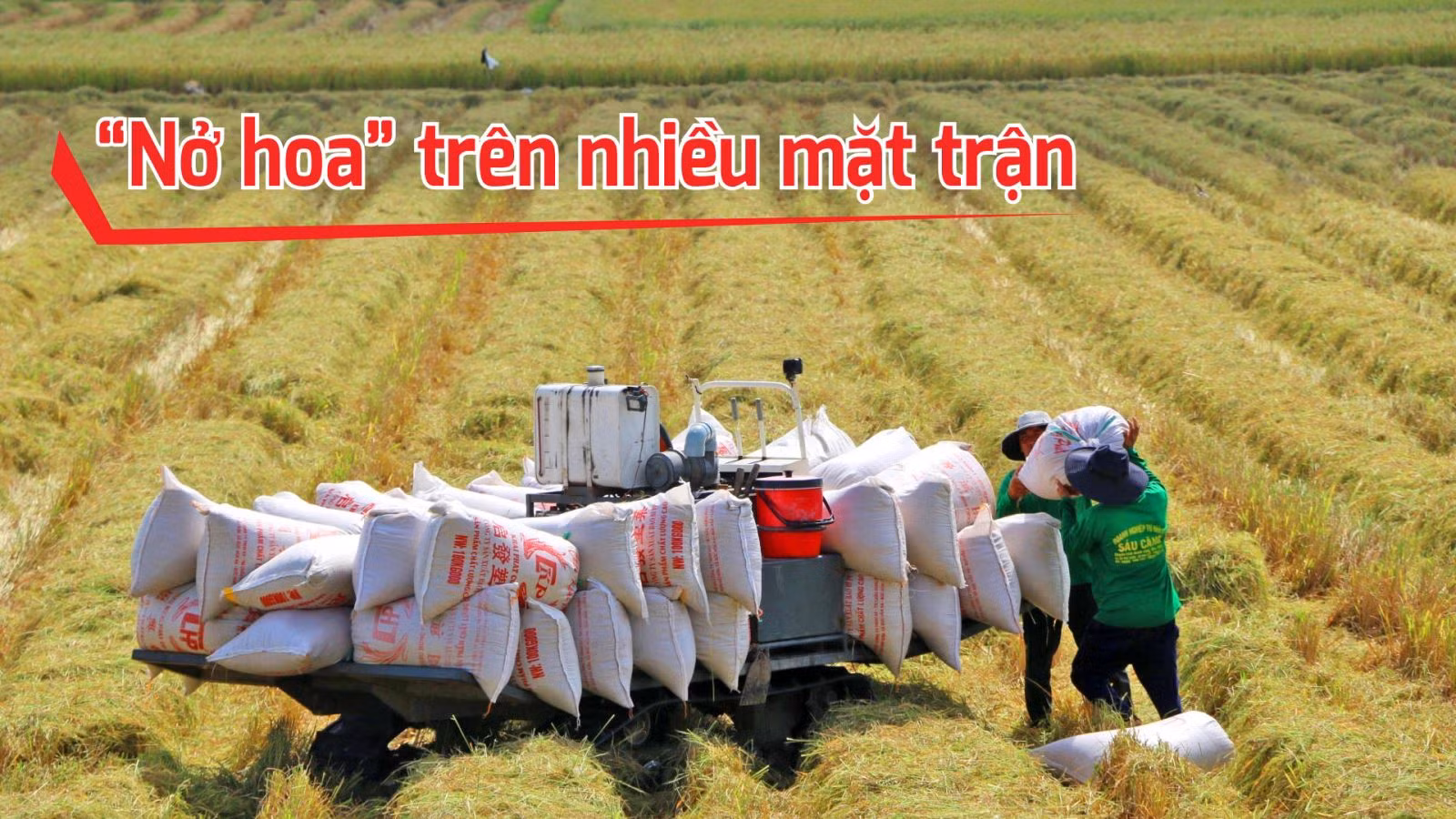 Việt Nam hướng tới phát triển toàn diện ảnh 2