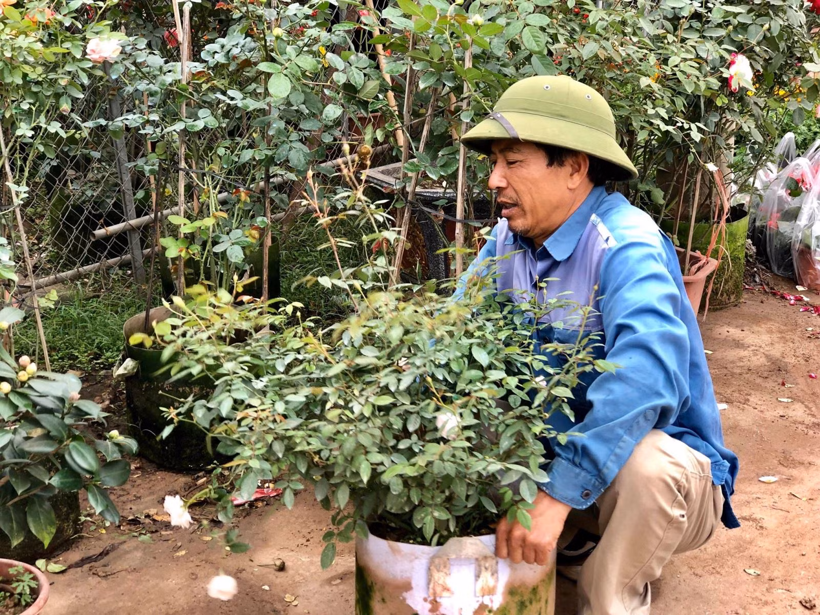 Chú thích ảnh