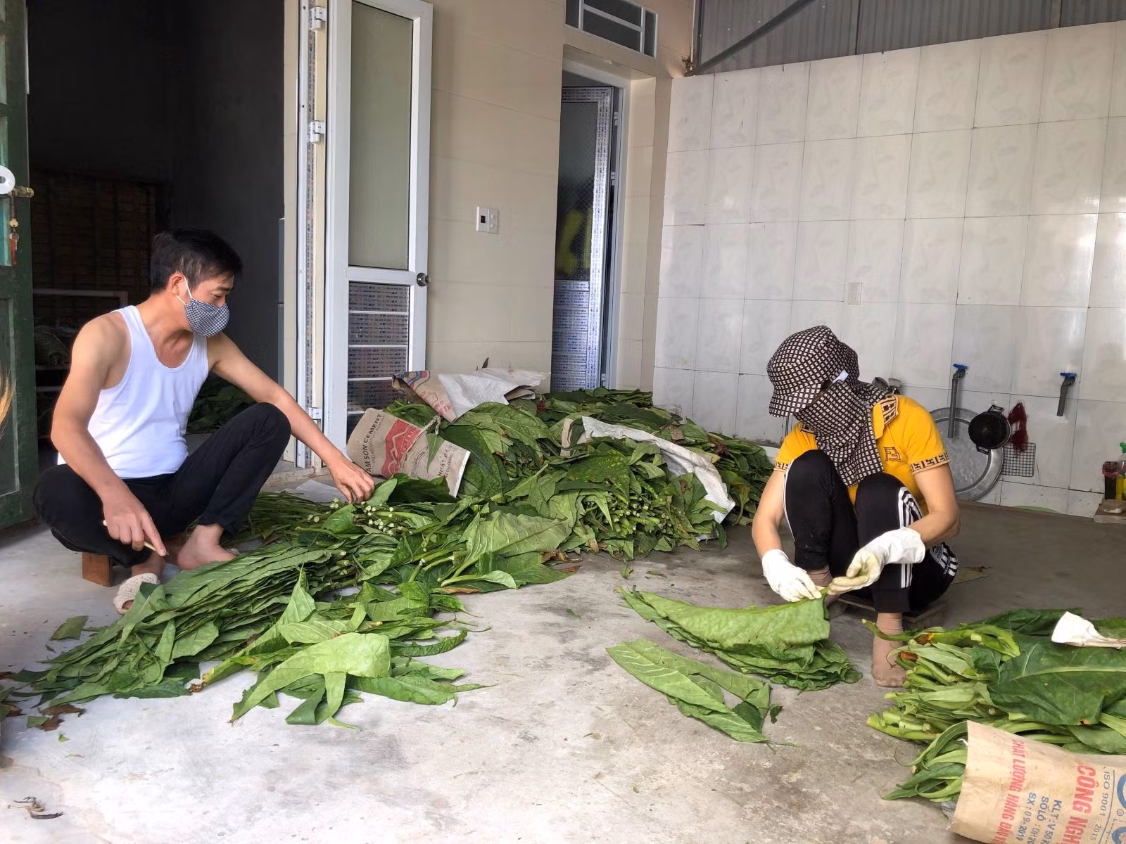 Chú thích ảnh