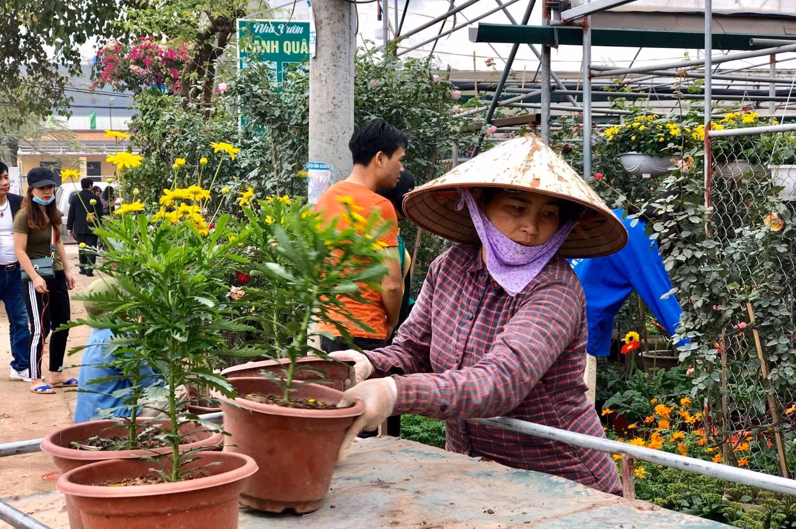 Chú thích ảnh