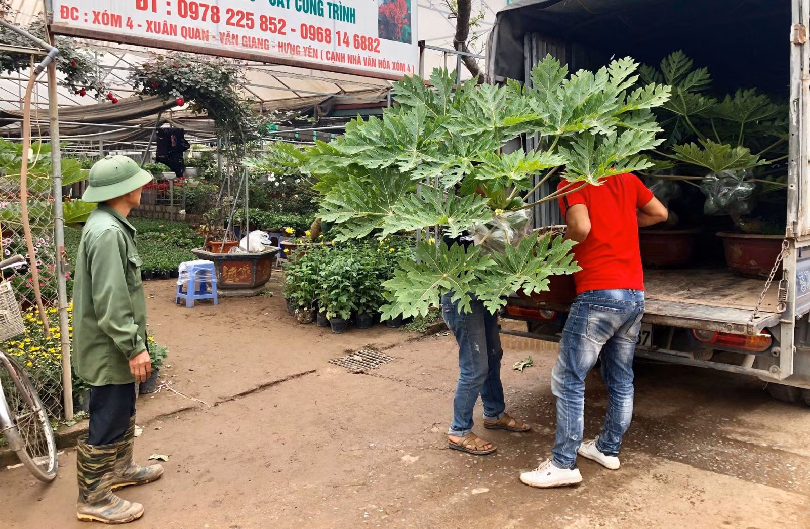 Chú thích ảnh
