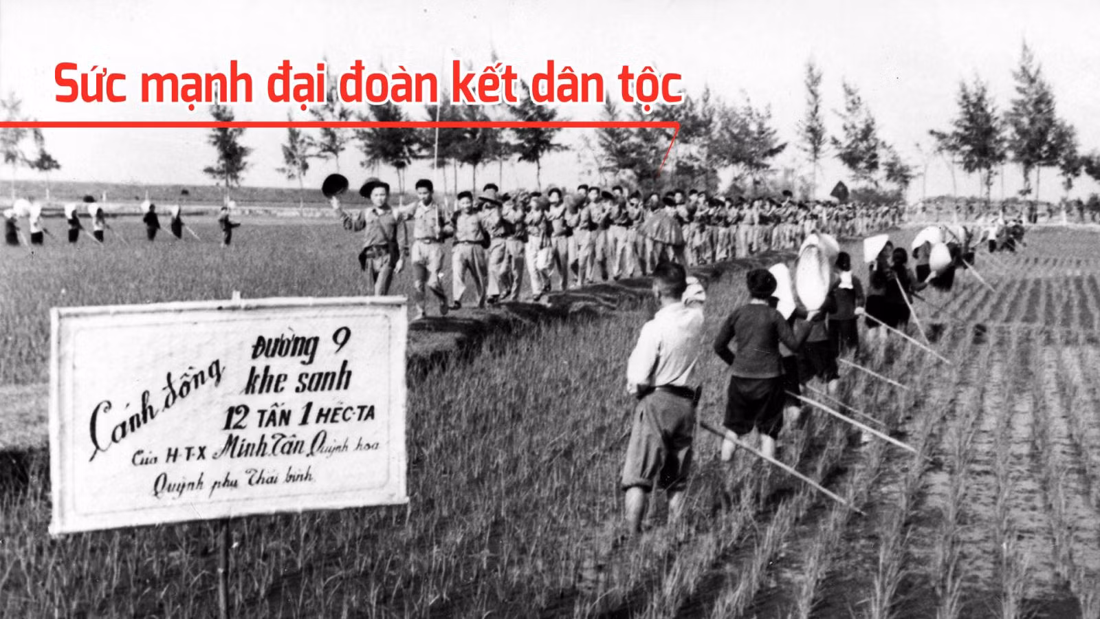 Vang khúc khải hoàn ảnh 4