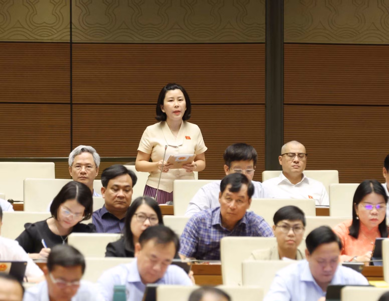 Đại biểu Quốc hội tỉnh Phú Yên Lê Đào An Xuân phát biểu.