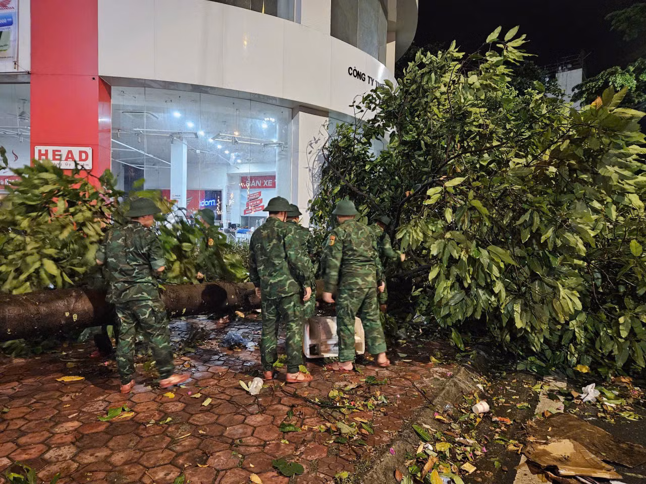 Chú thích ảnh