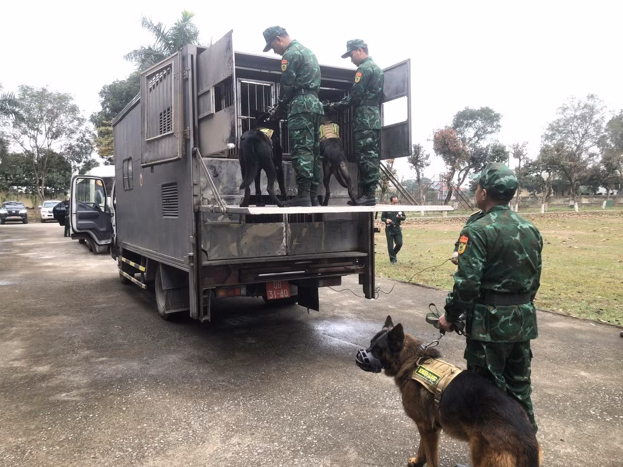 Chú thích ảnh
