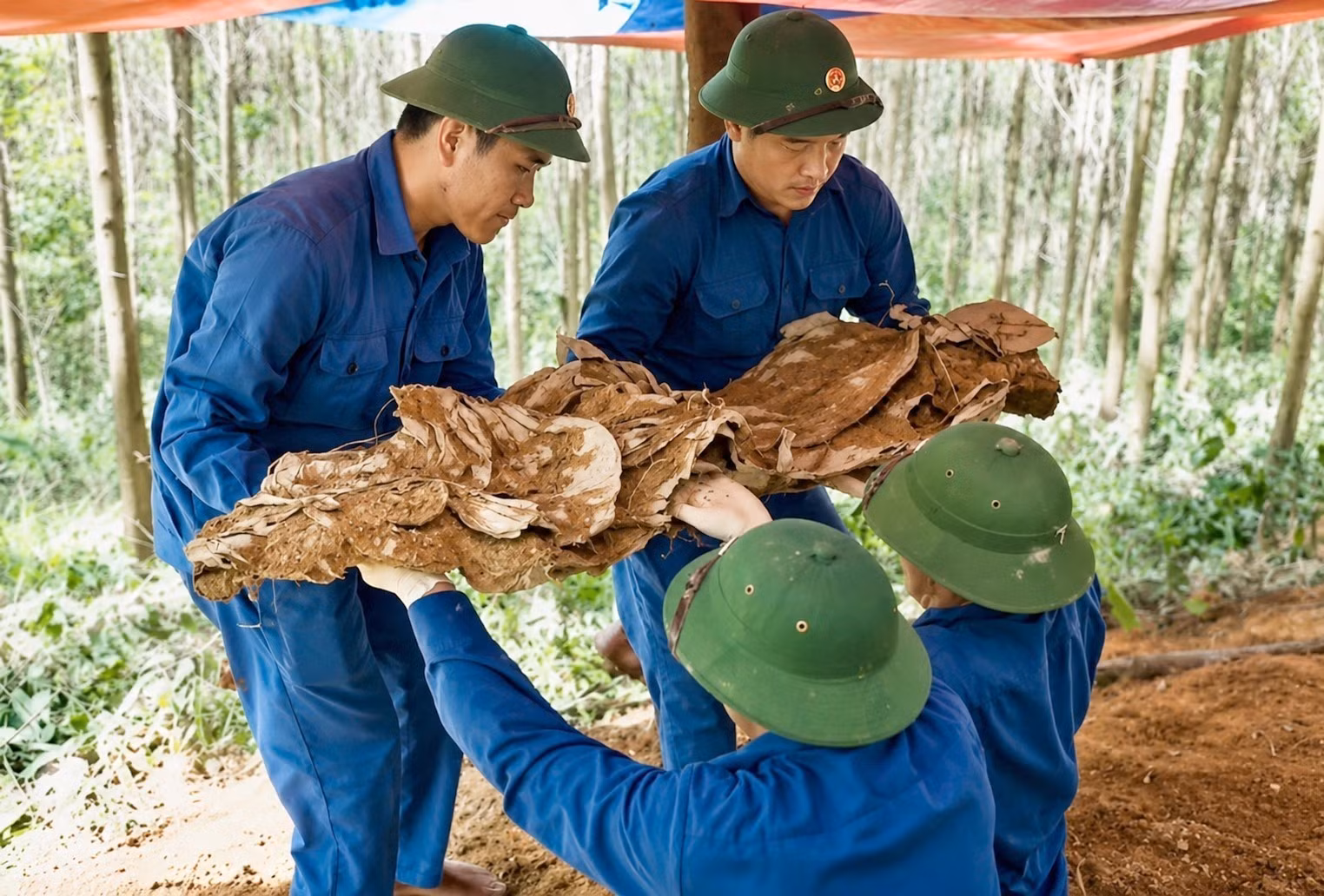 Đội Tìm kiếm, Quy tập hài cốt liệt sĩ Sư đoàn 968 (Quân khu 4) tìm kiếm, quy tập hài cốt liệt sĩ tại đồi Chôm Chôm, xã Hiếu Giang, tỉnh Quảng Trị.