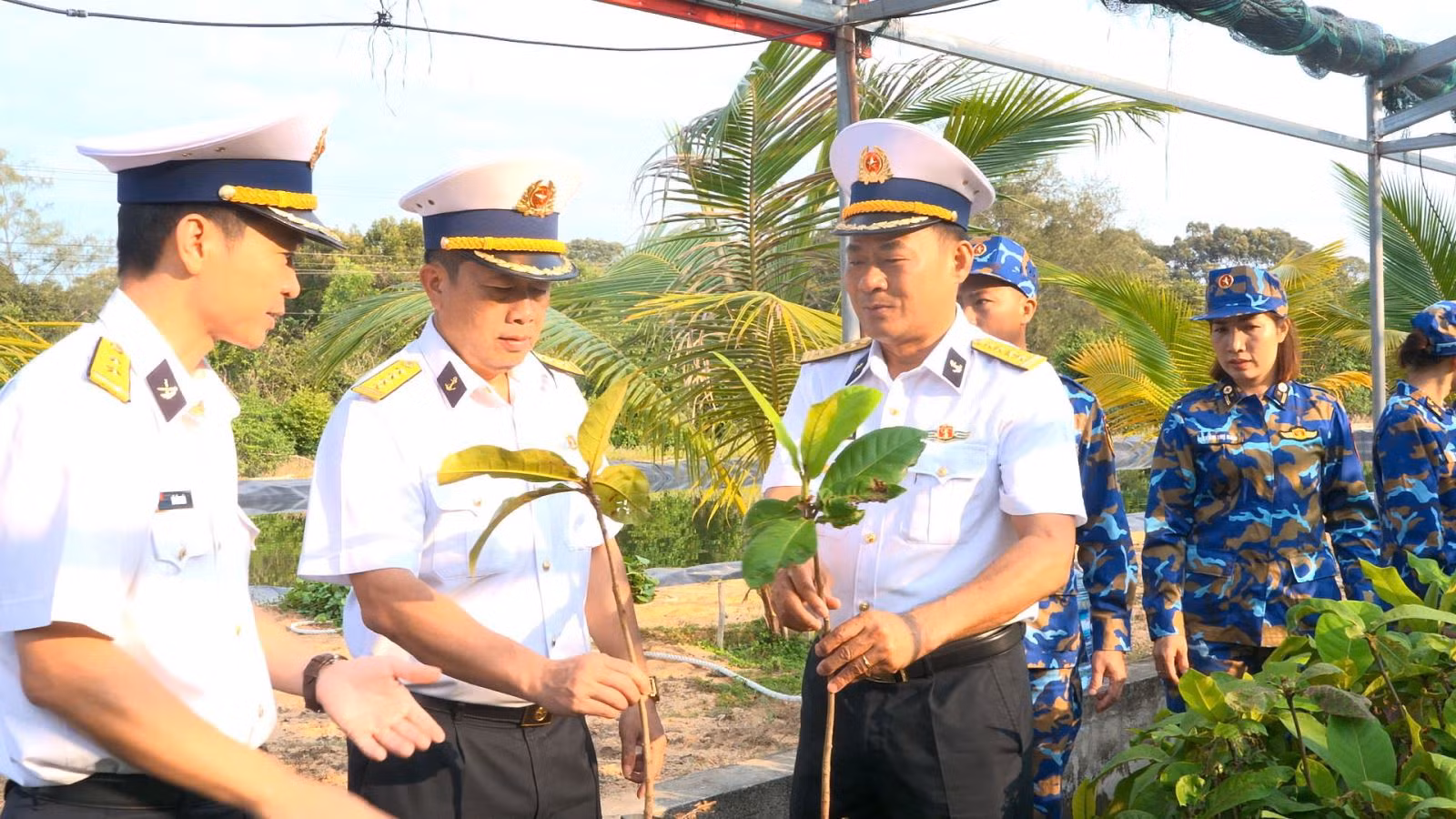 Chú thích ảnh