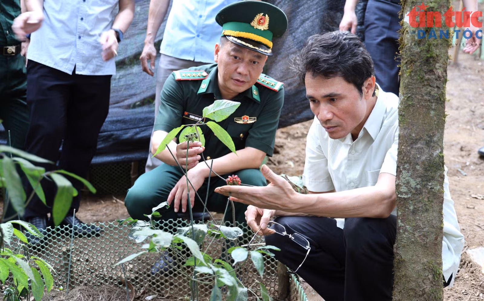 Chú thích ảnh
