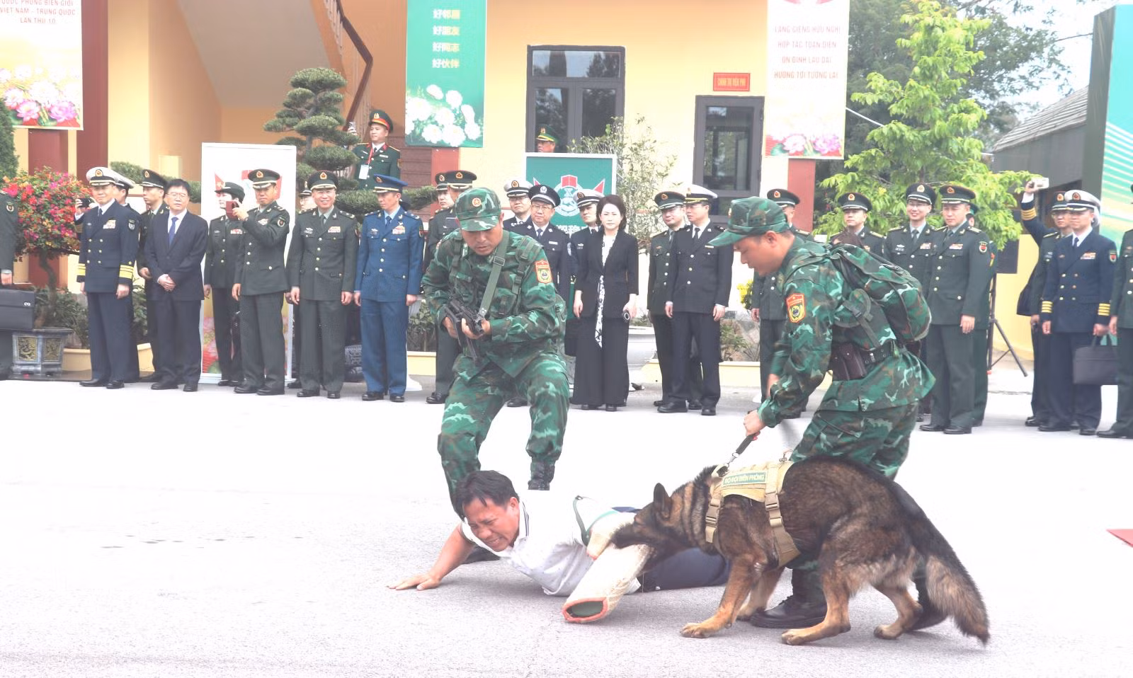 Chú thích ảnh