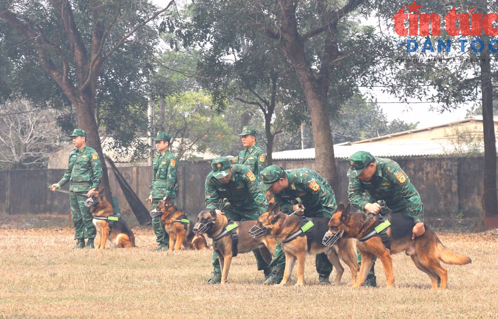 Chú thích ảnh