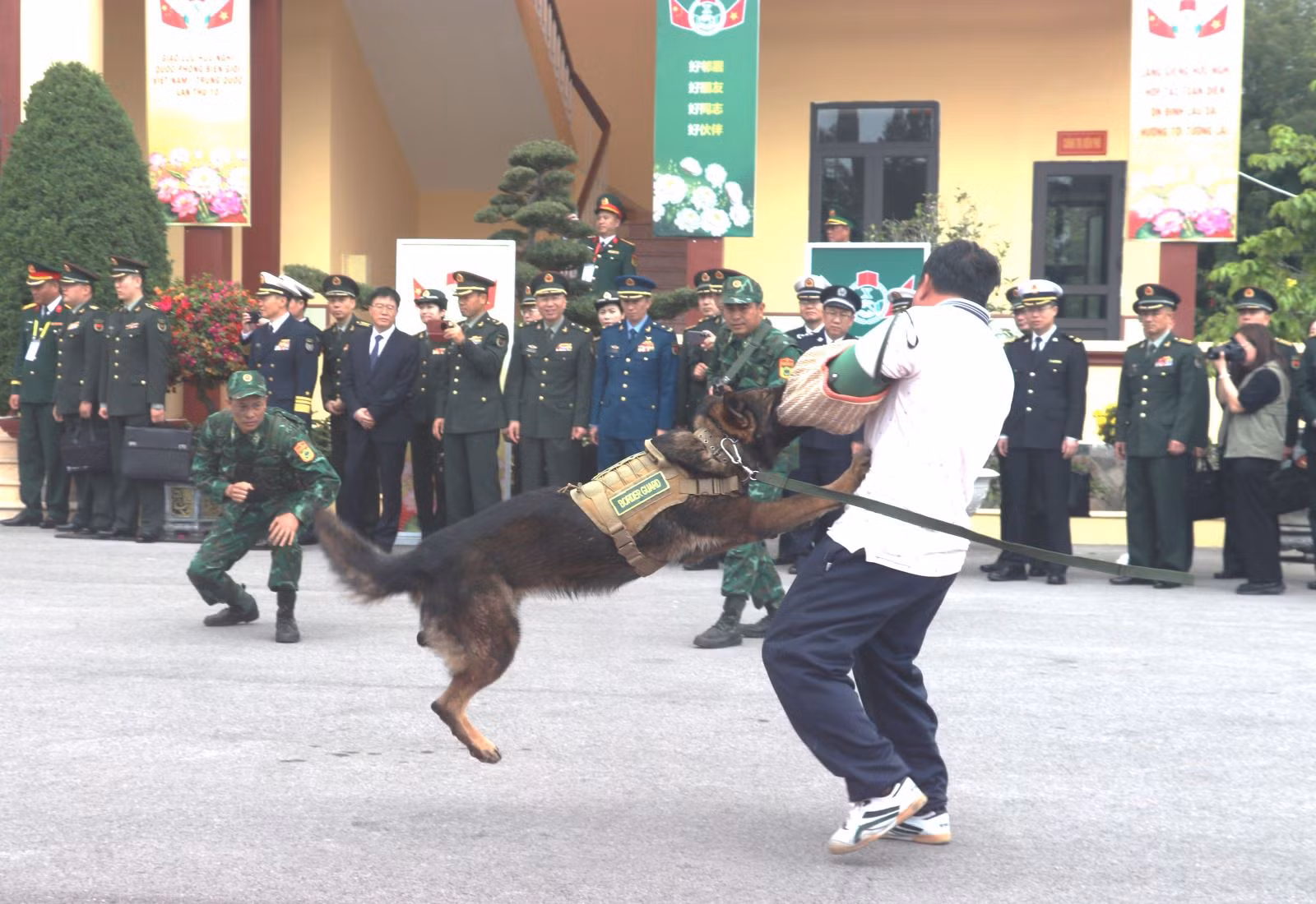 Chú thích ảnh