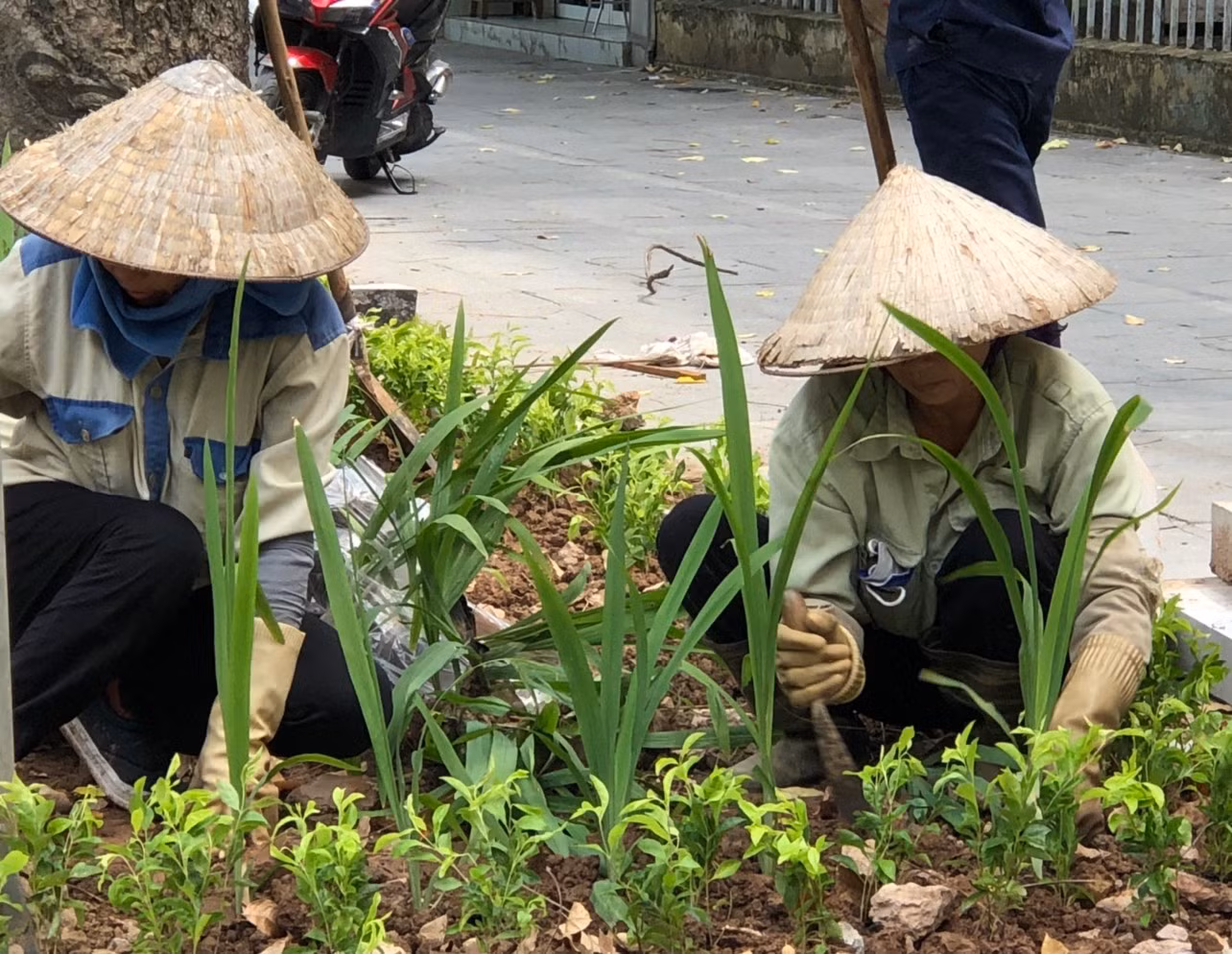 Chú thích ảnh