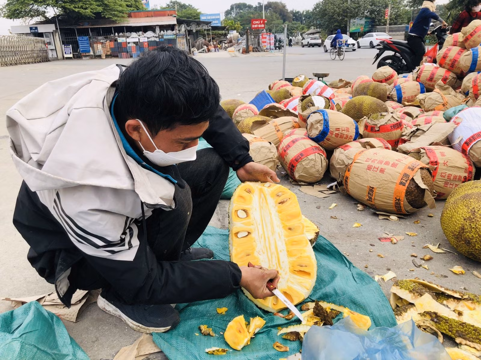 Chú thích ảnh