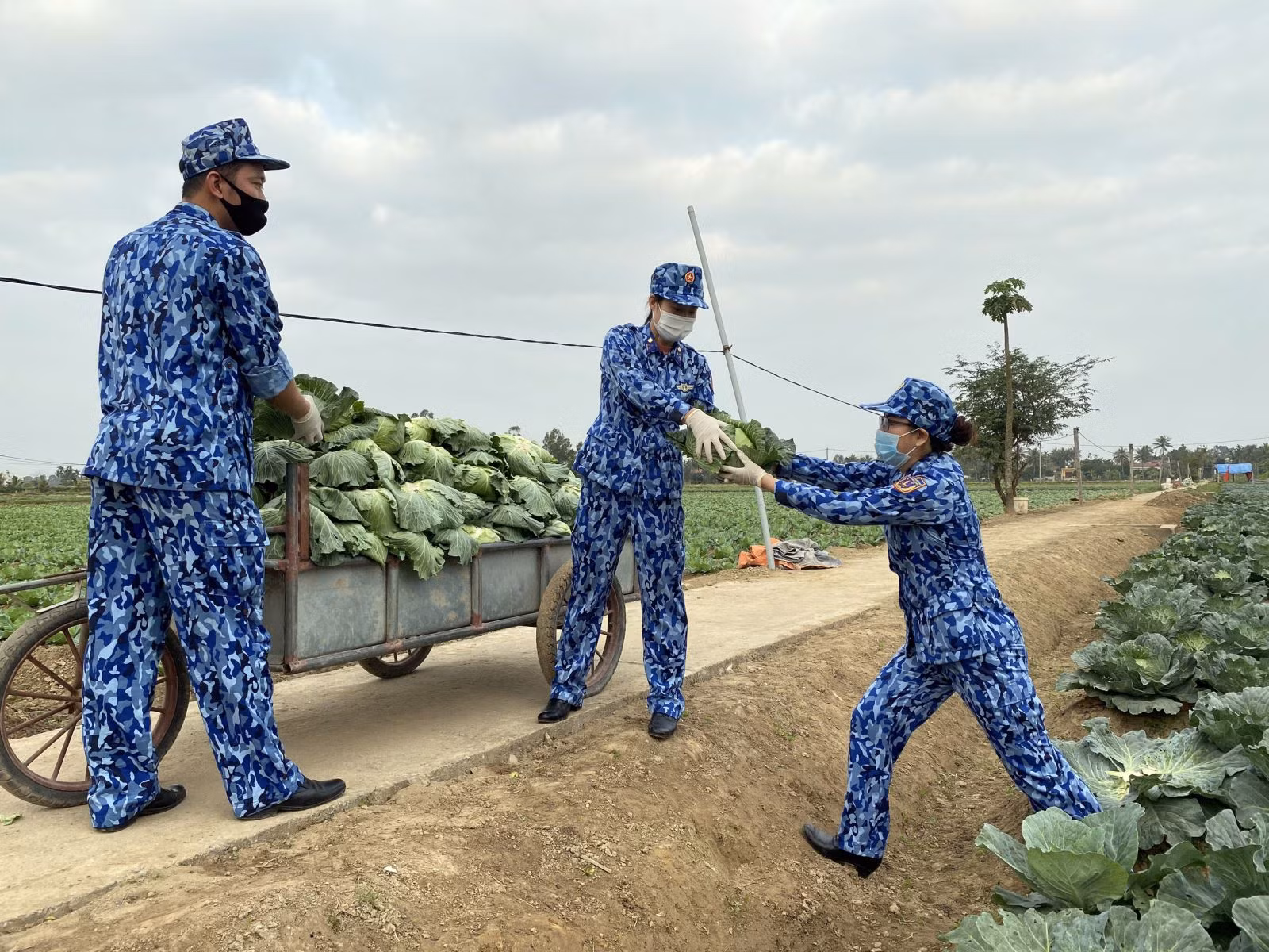 Chú thích ảnh