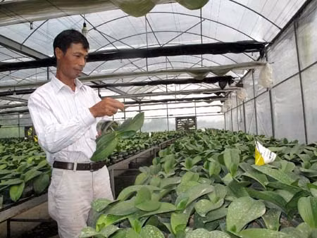 Văn Giang đào tạo nghề cho nông dân ảnh 2
