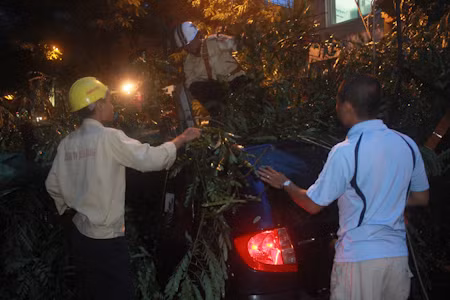 Những thông tin và hình ảnh mới nhất về bão số 5 ảnh 7