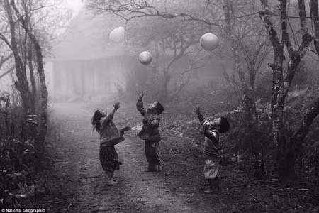 Mãn nhãn ngắm ảnh đoạt giải của National Geographic 2012 ảnh 2