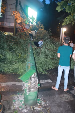 Những thông tin và hình ảnh mới nhất về bão số 5 ảnh 6