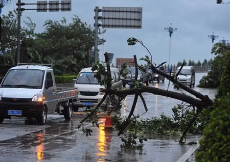 Bão Kai Tak san phẳng 2.000 ngôi nhà ở Trung Quốc ảnh 1