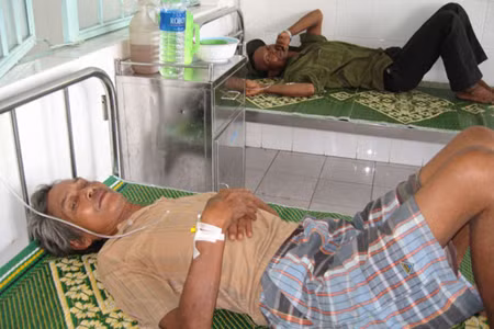 Thiệt mạng do ăn thịt lợn chết ảnh 1