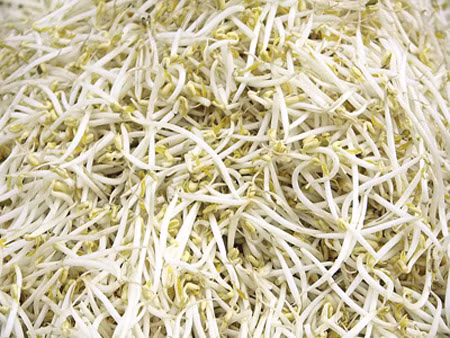 Giá đỗ có hóa chất của Trung Quốc ảnh 1