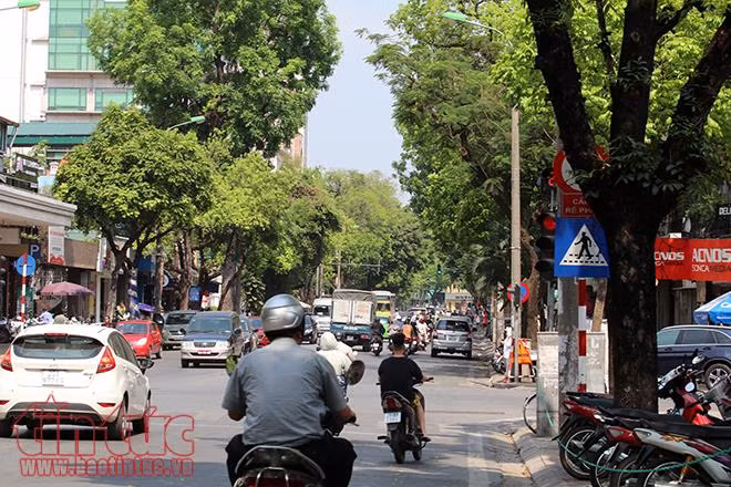 Muôn kiểu chống nóng của người Hà Nội ảnh 1