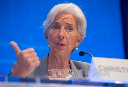 IMF cảnh báo nguy cơ tăng lãi suất do cải cách thuế ở Mỹ ảnh 1