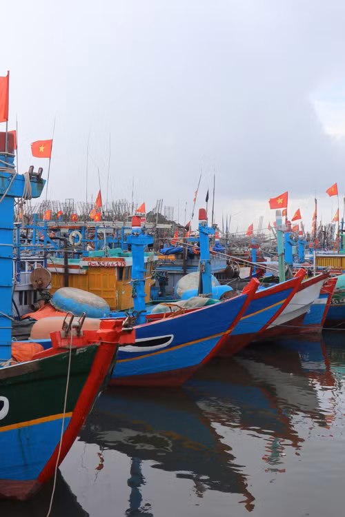 Rà soát phương án ứng phó mưa lũ phù hợp với tình hình cụ thể