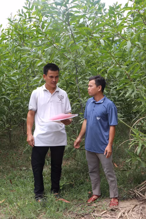 Gỡ vướng thủ tục đất đai, đồng bào Hre yên tâm sản xuất