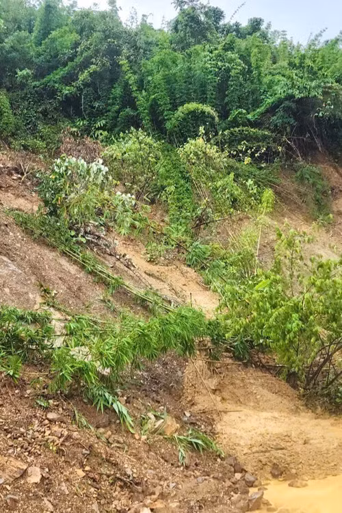 Di dời 38 hộ dân trước nguy cơ sạt lở núi Pù Nứa Bàn