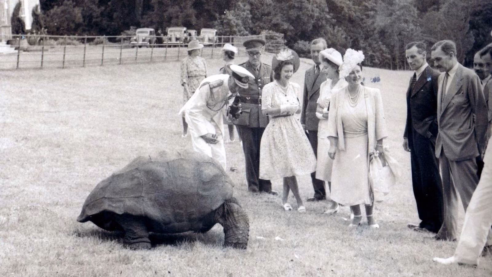 Vua George VI, Hoàng hậu Anh và Công chúa Elizabeth (khi đó), cùng với Công chúa Margaret, gặp rùa Jonathan vào năm 1947. Ảnh: PA