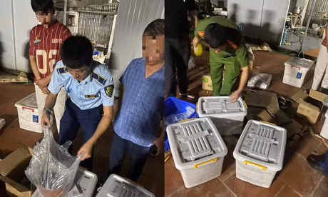 Hà Nội: Phát hiện cơ sở sản xuất giò, chả sử dụng hàn the