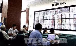 Ủy ban Chứng khoán yêu cầu xử lý tin đồn khiến thị trường sụt giảm