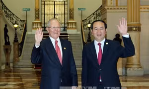 Thúc đẩy quan hệ hợp tác Việt Nam-Peru 